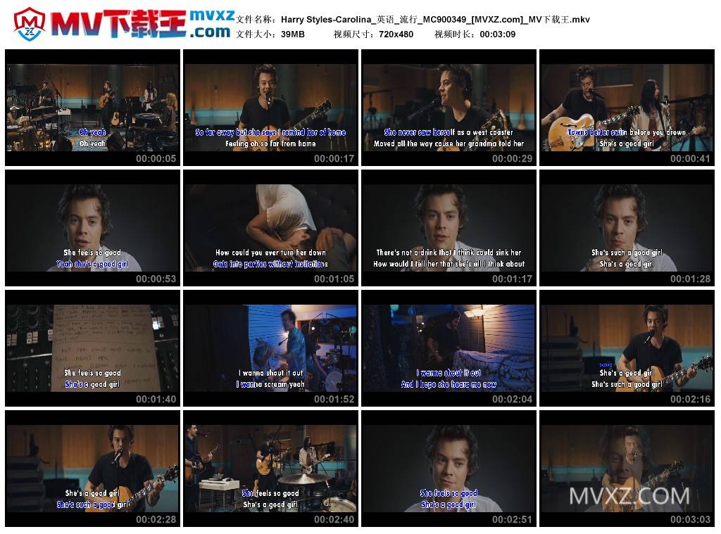 Harry Styles-Carolina_英语_流行_MC900349
